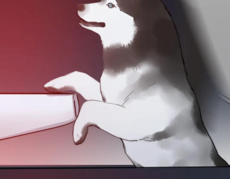 第152页
