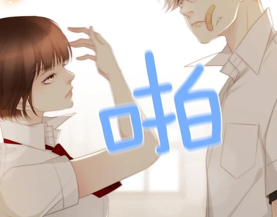 第204页