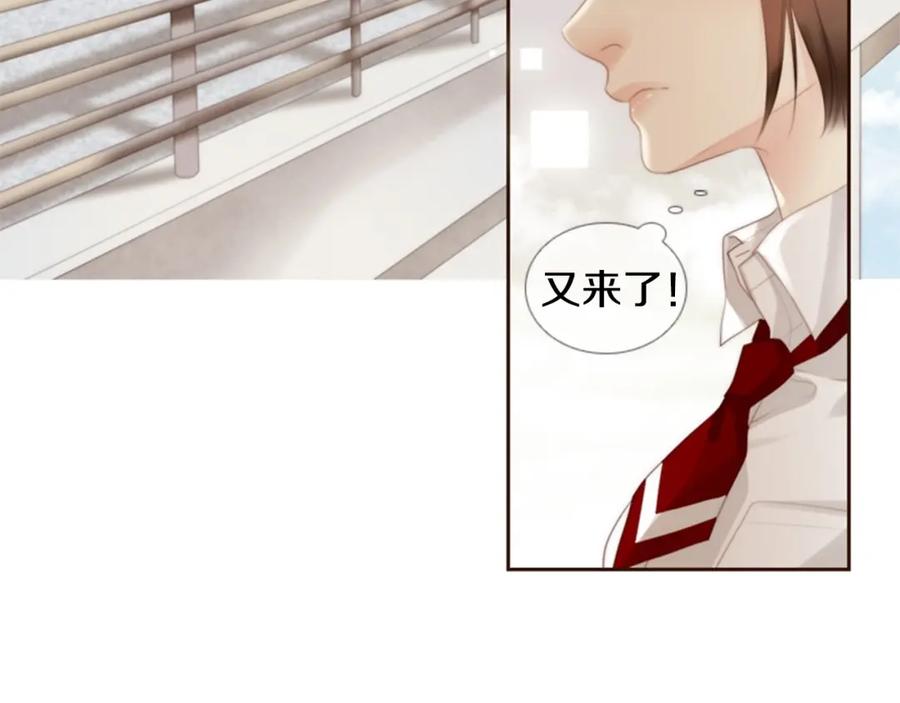 第204页