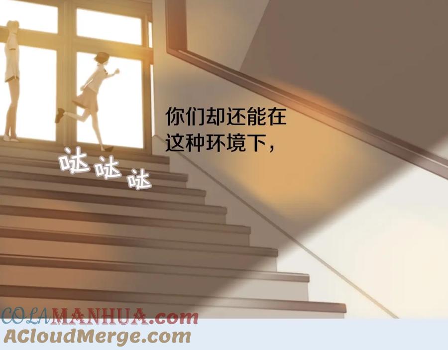 第217页