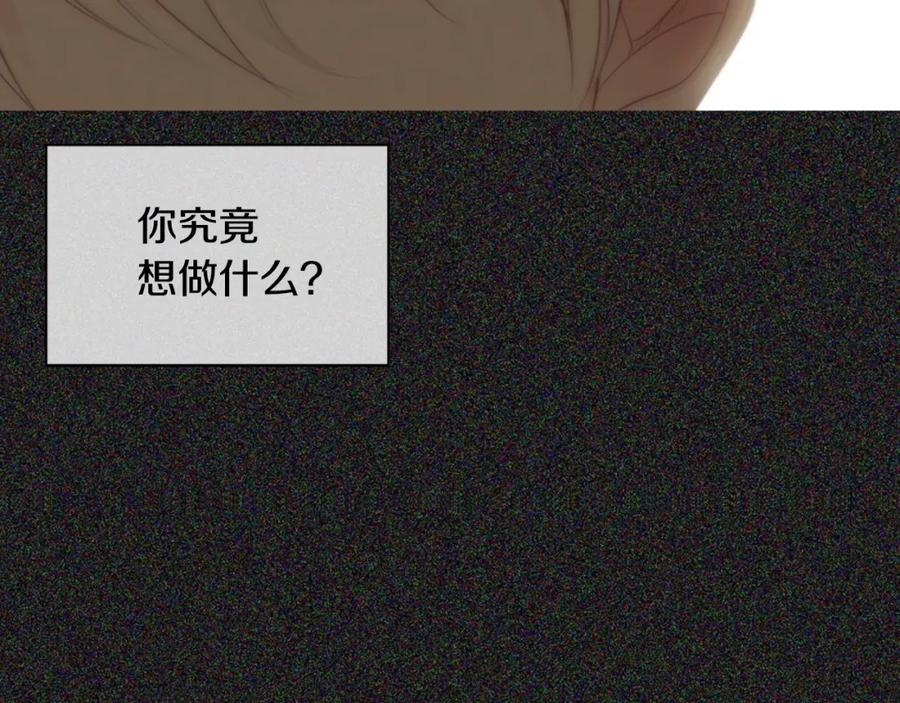 第238页