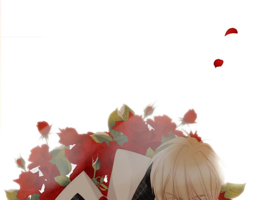 第248页