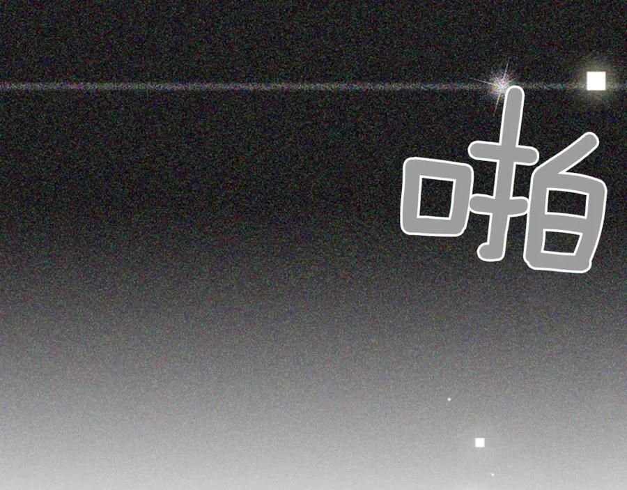 第223页
