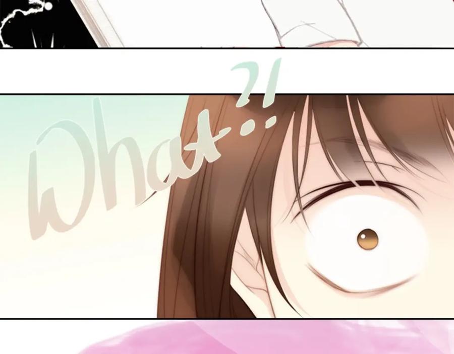 第248页