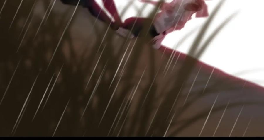 第223页