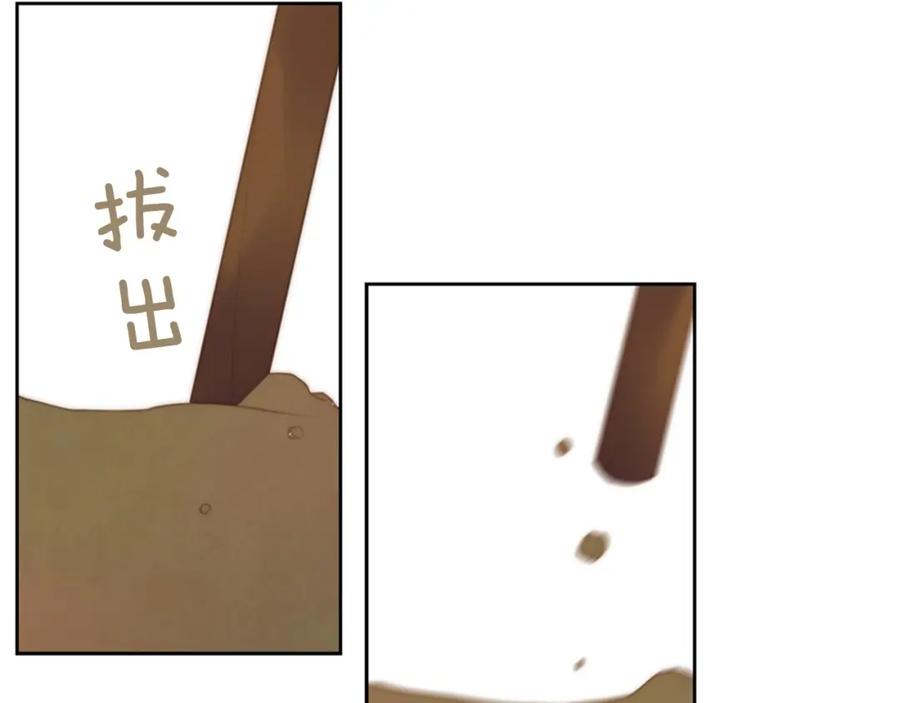 第231页