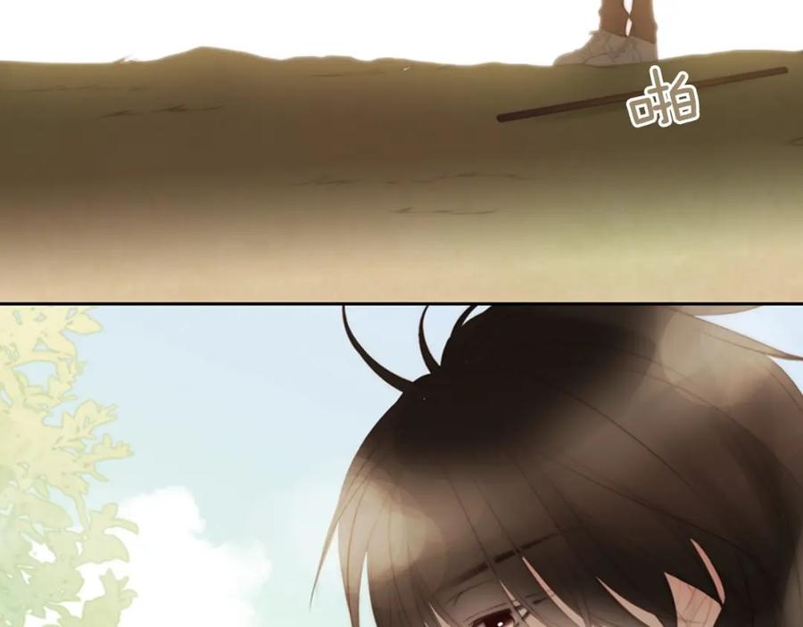 第234页