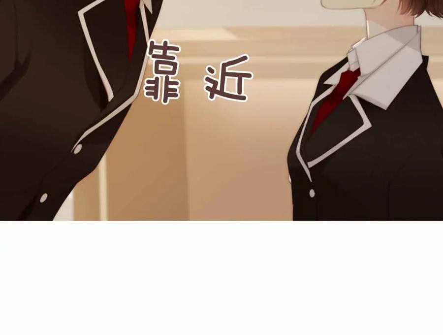 第204页