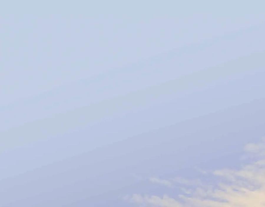 第203页