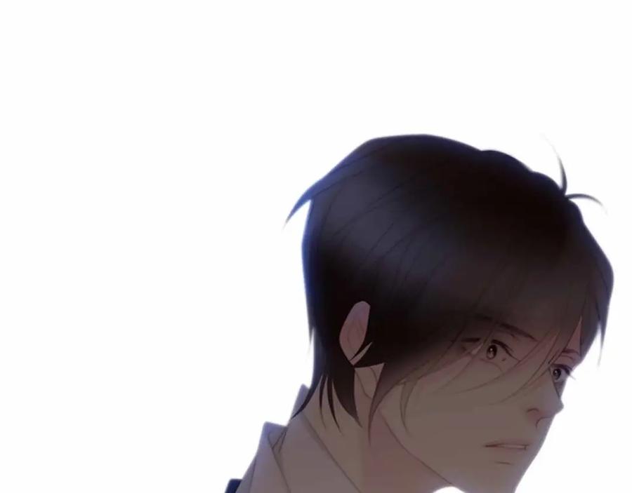 第223页