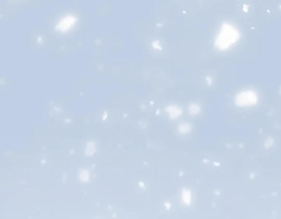 第238页