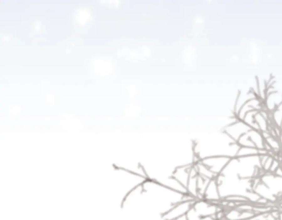 第240页