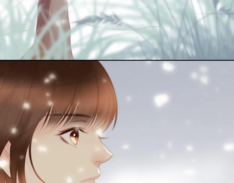 第254页