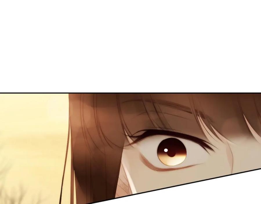 第247页