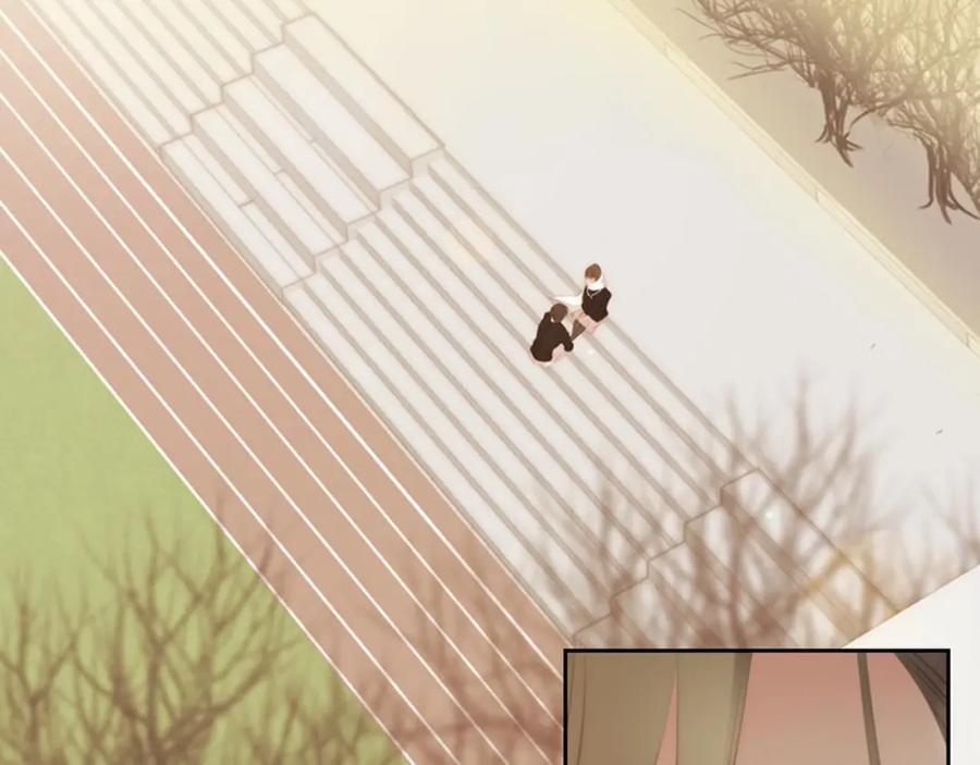 第262页