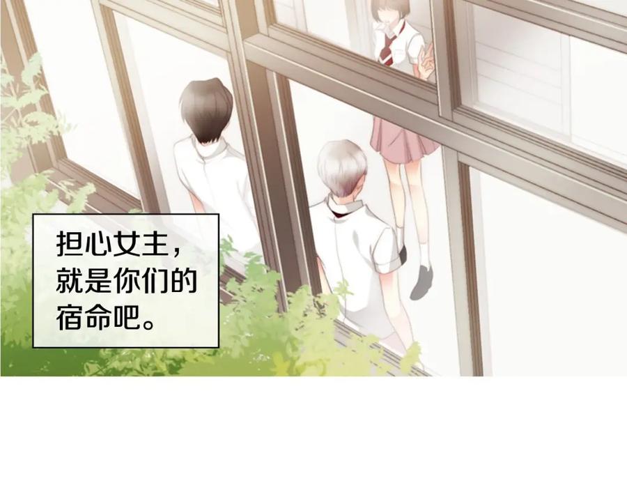 第204页