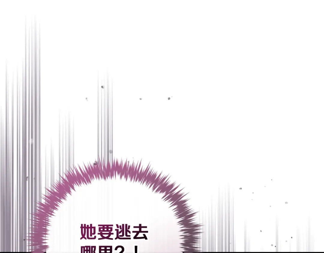 第241页