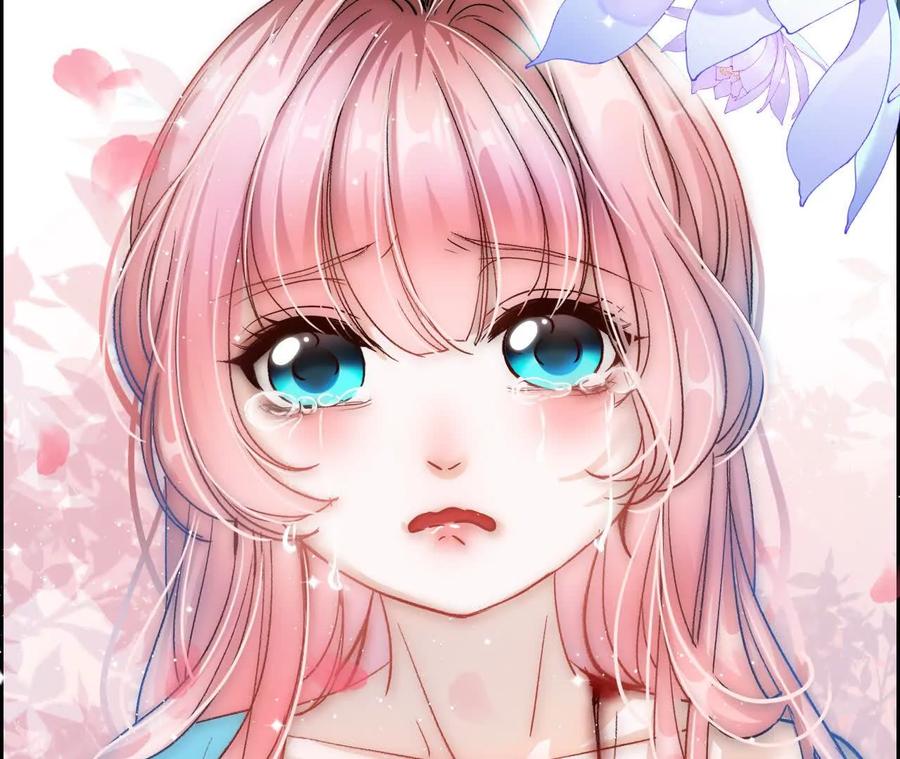 第204页