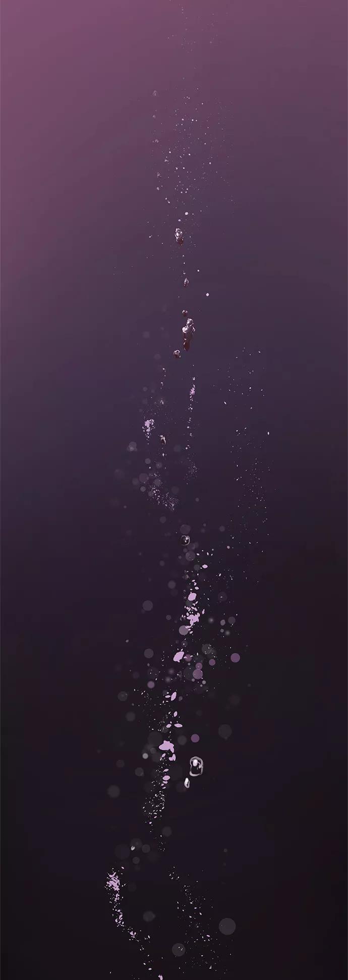 第257页