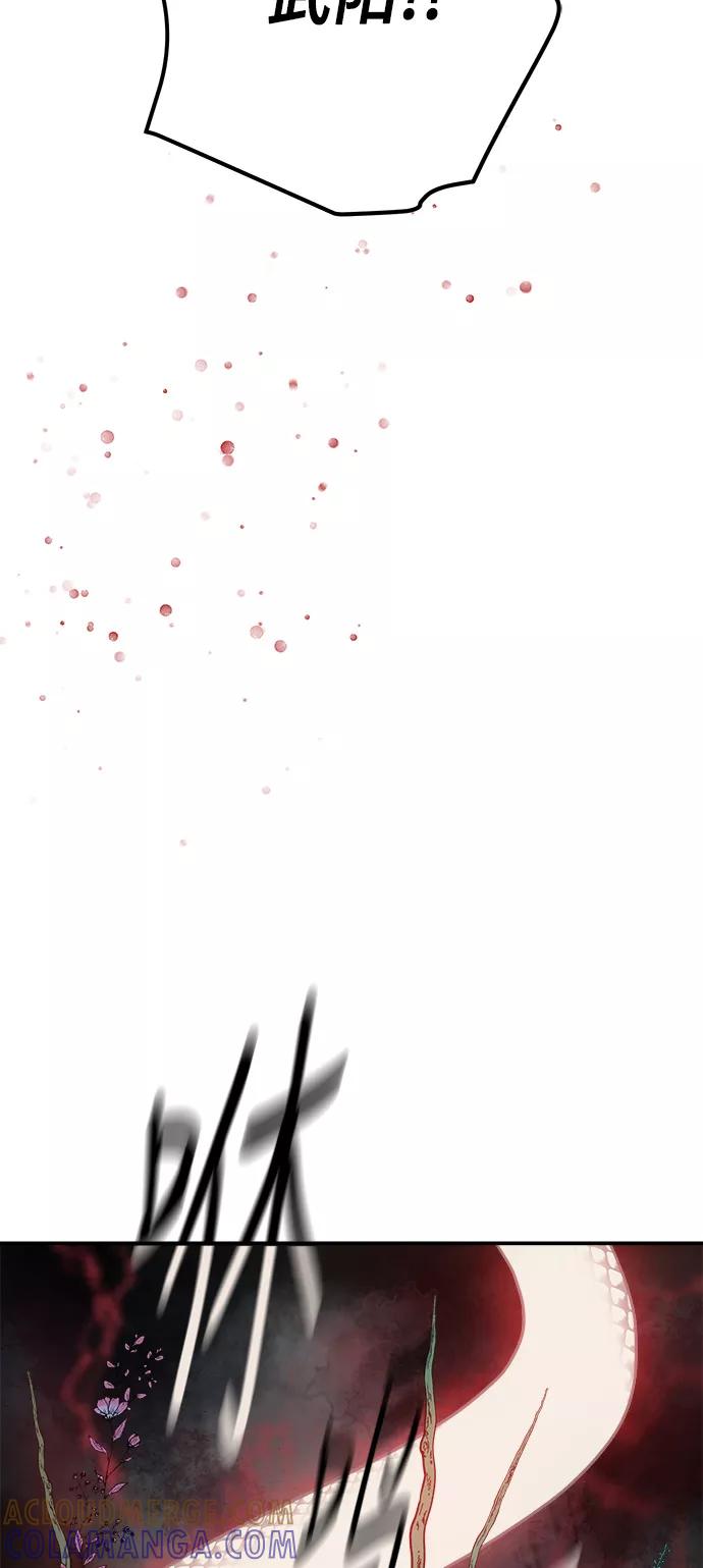 第242页