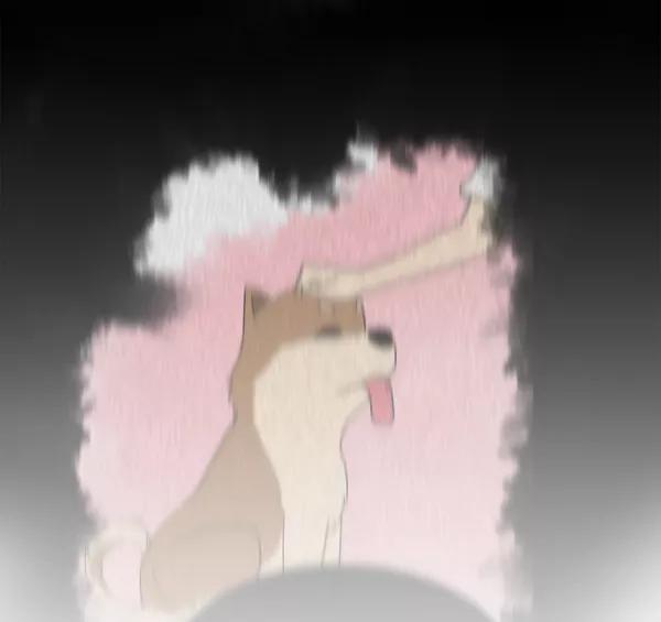 第53页