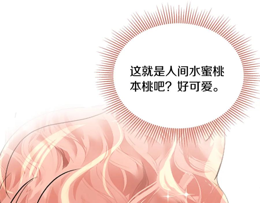 第239页