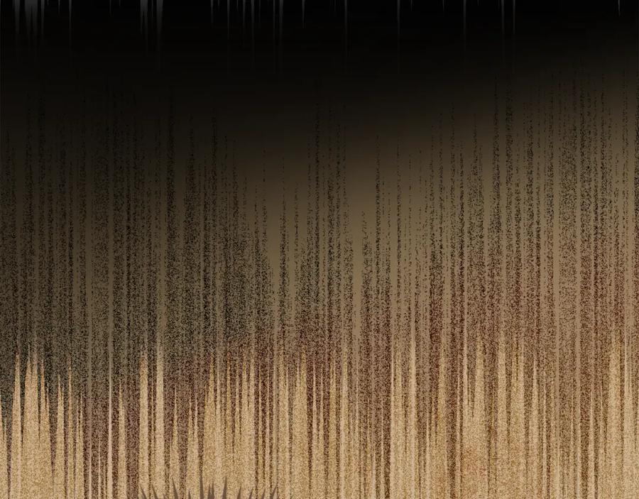 第284页
