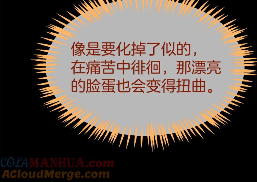 第221页
