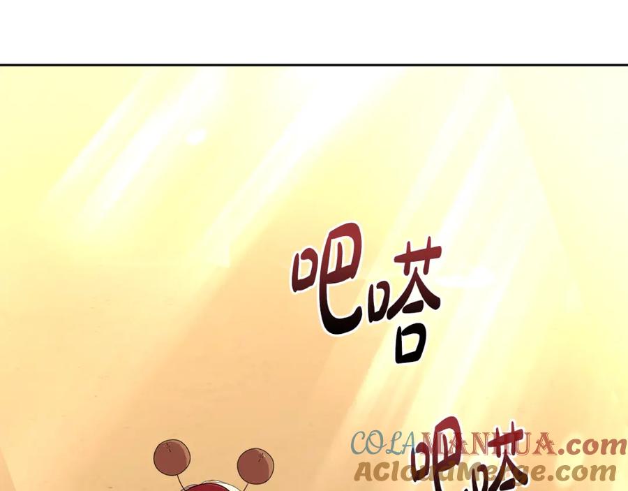 第257页