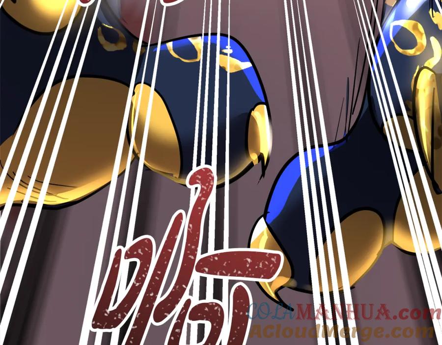 第269页