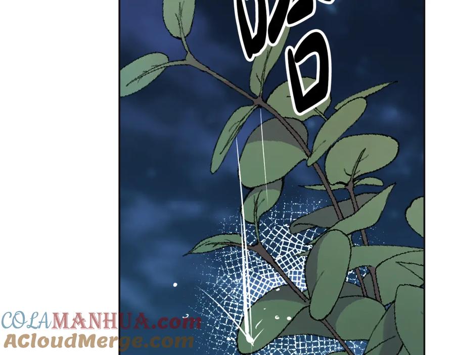 第213页