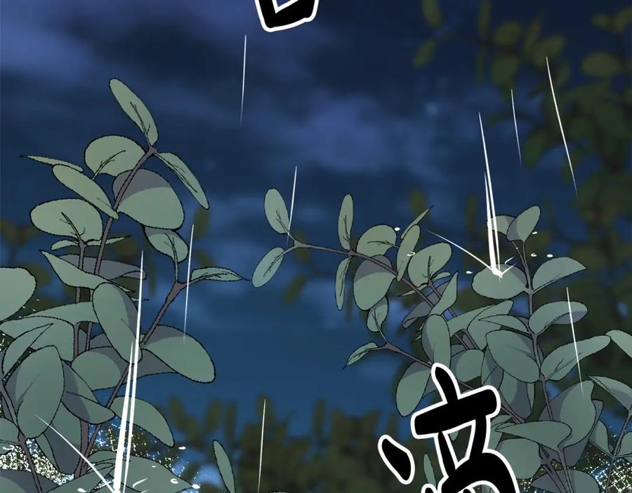 第218页
