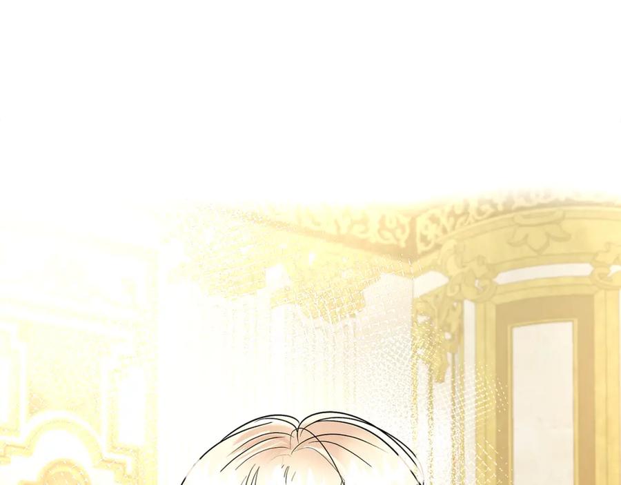 第244页