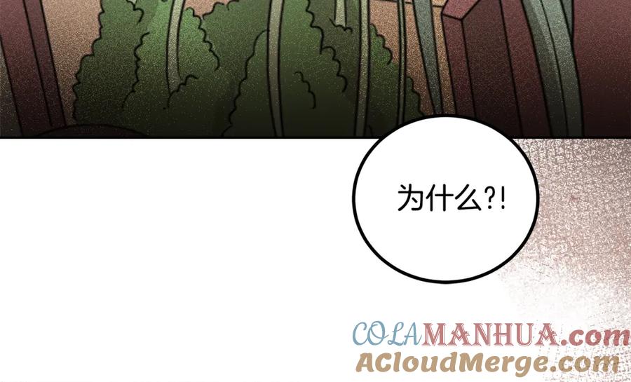 第217页