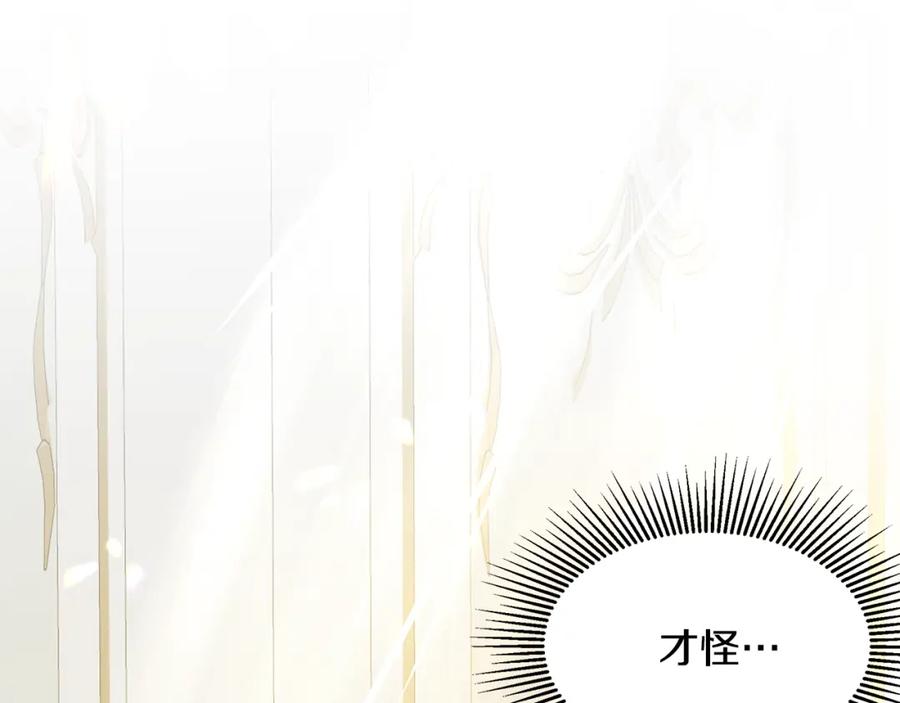 第247页