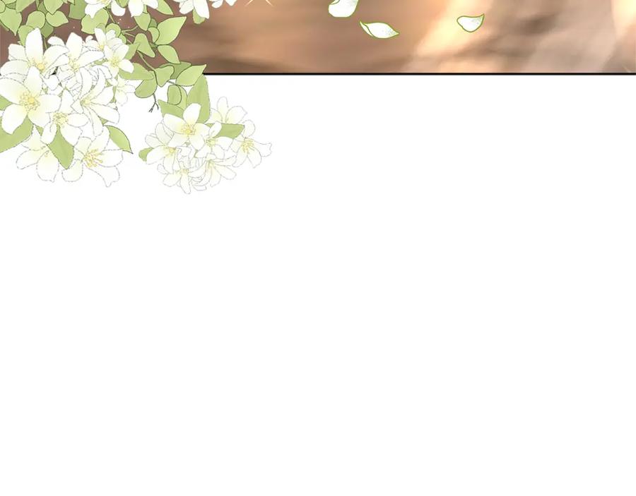 第236页