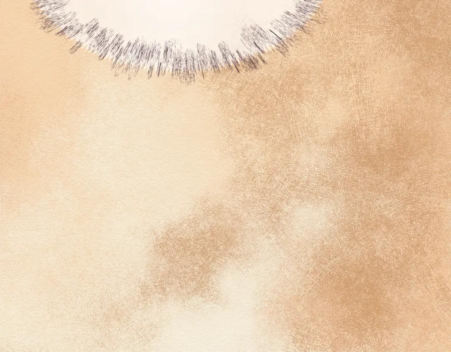 第266页