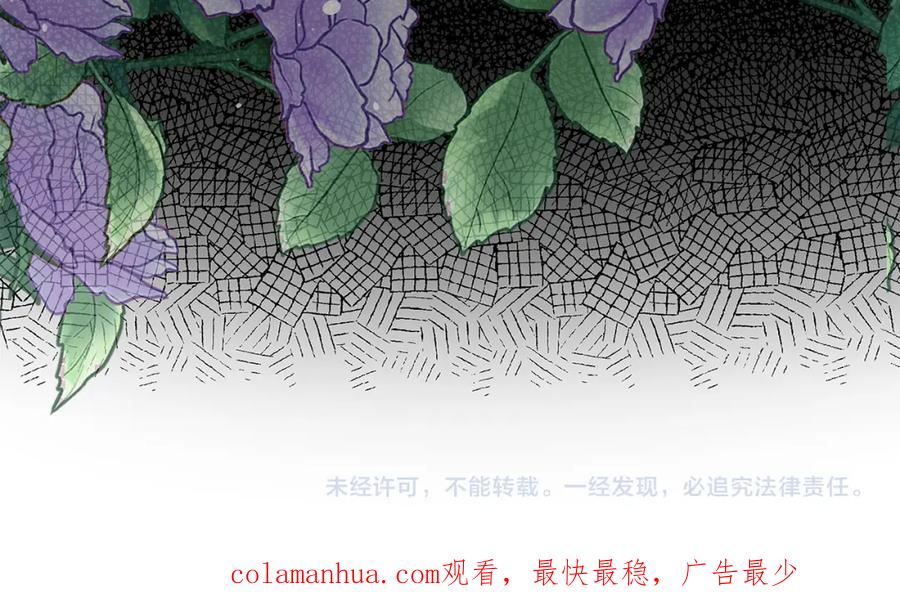 第255页