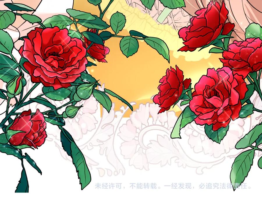 第256页