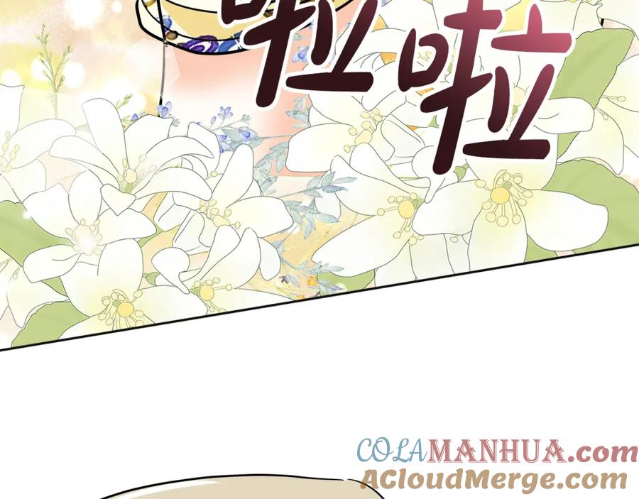 第217页
