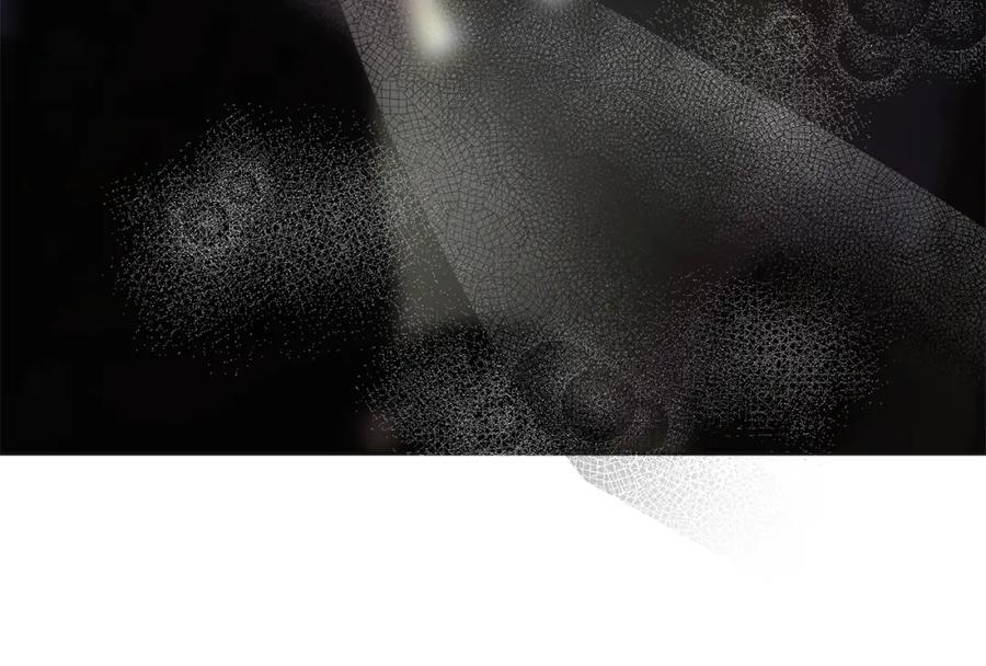 第255页
