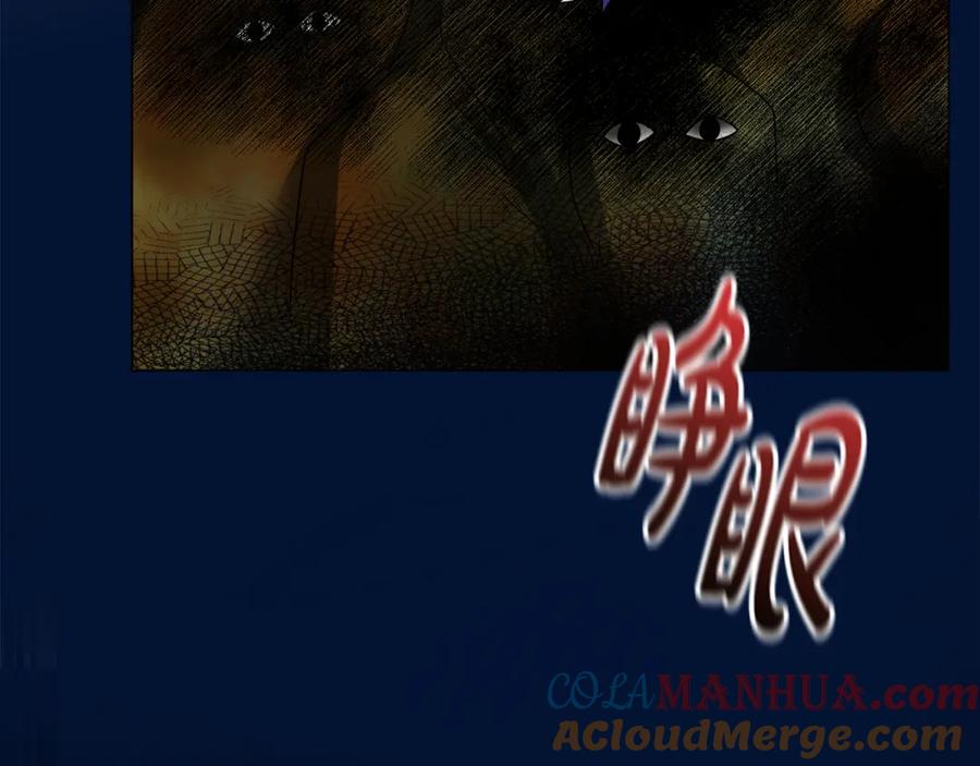 第205页