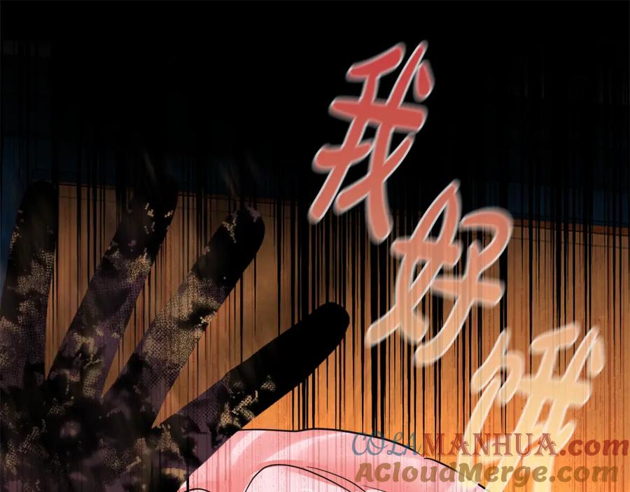第233页