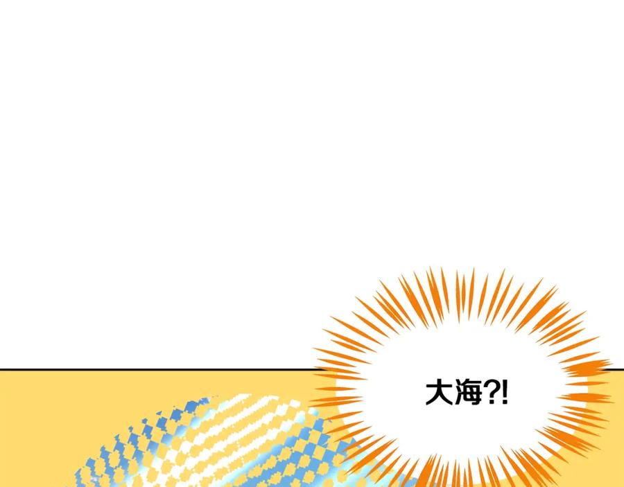 第244页