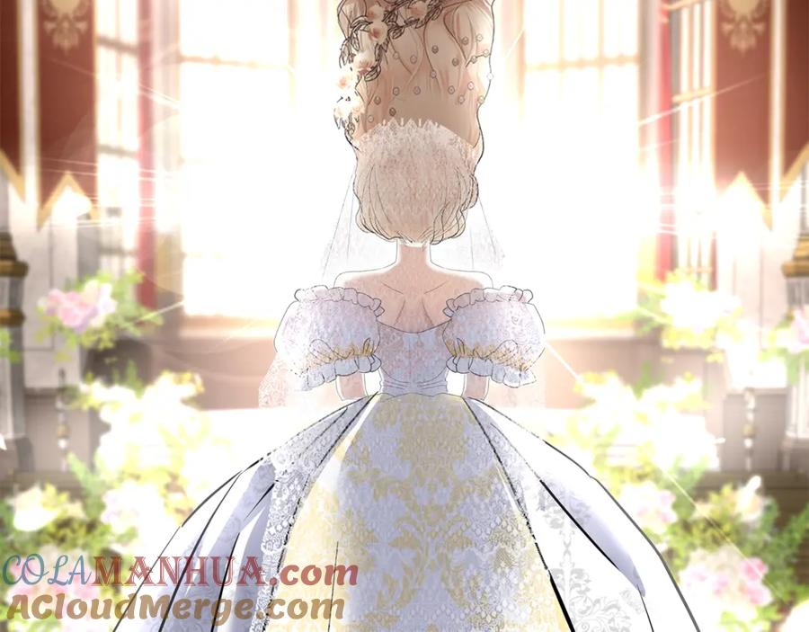 第217页