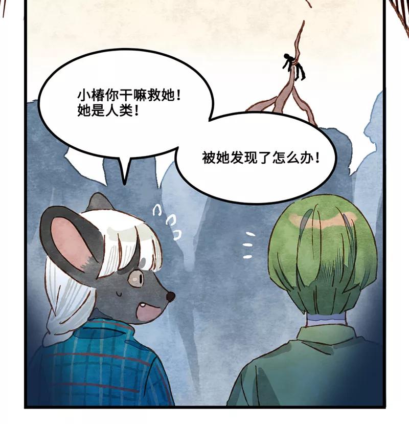 第155页