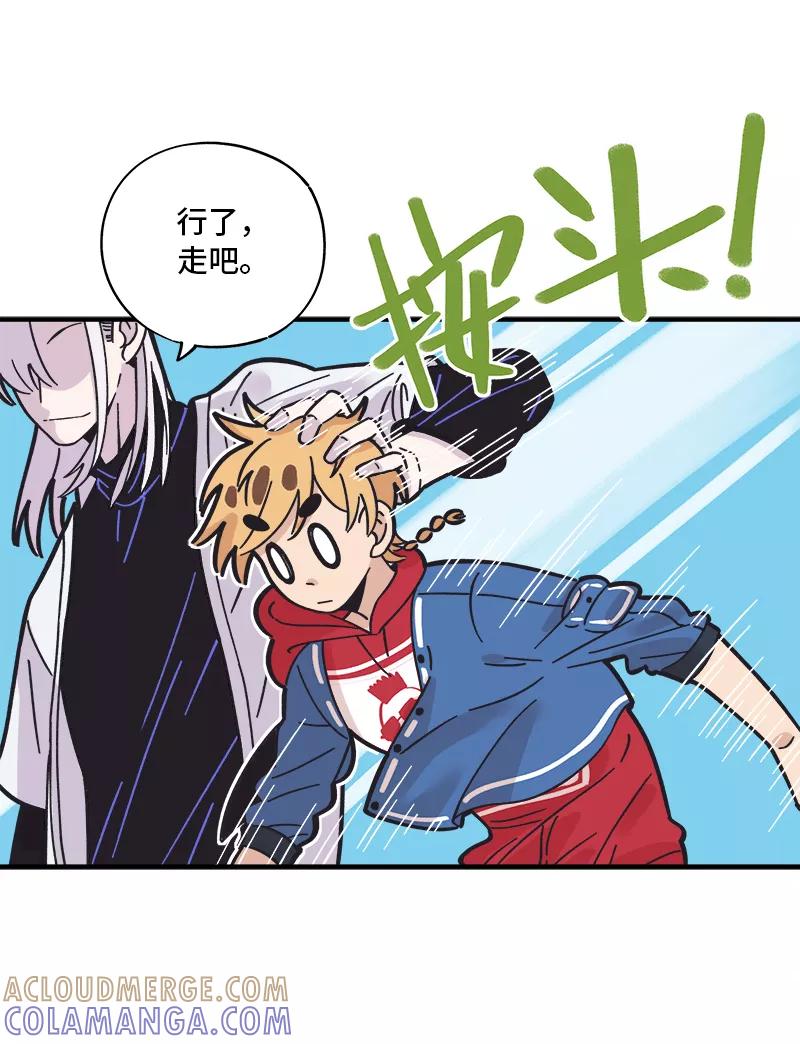 第205页