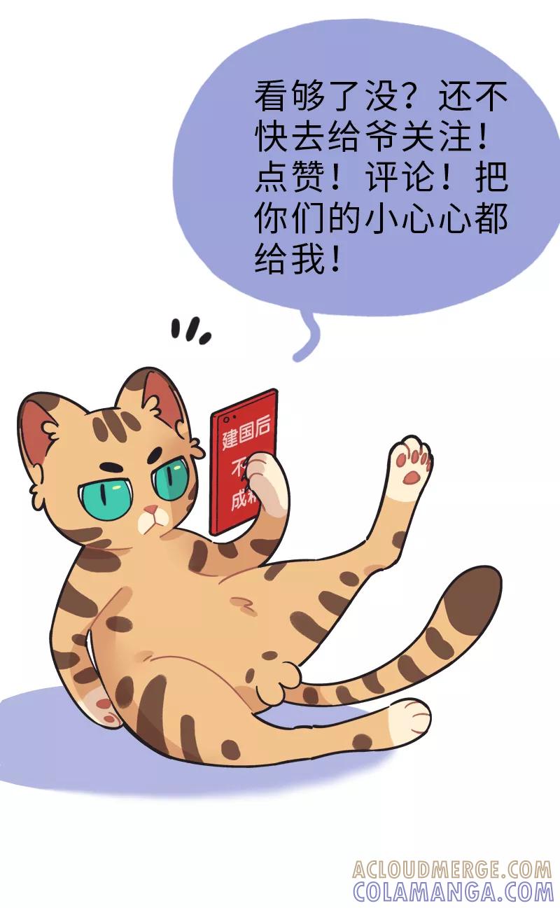 第241页