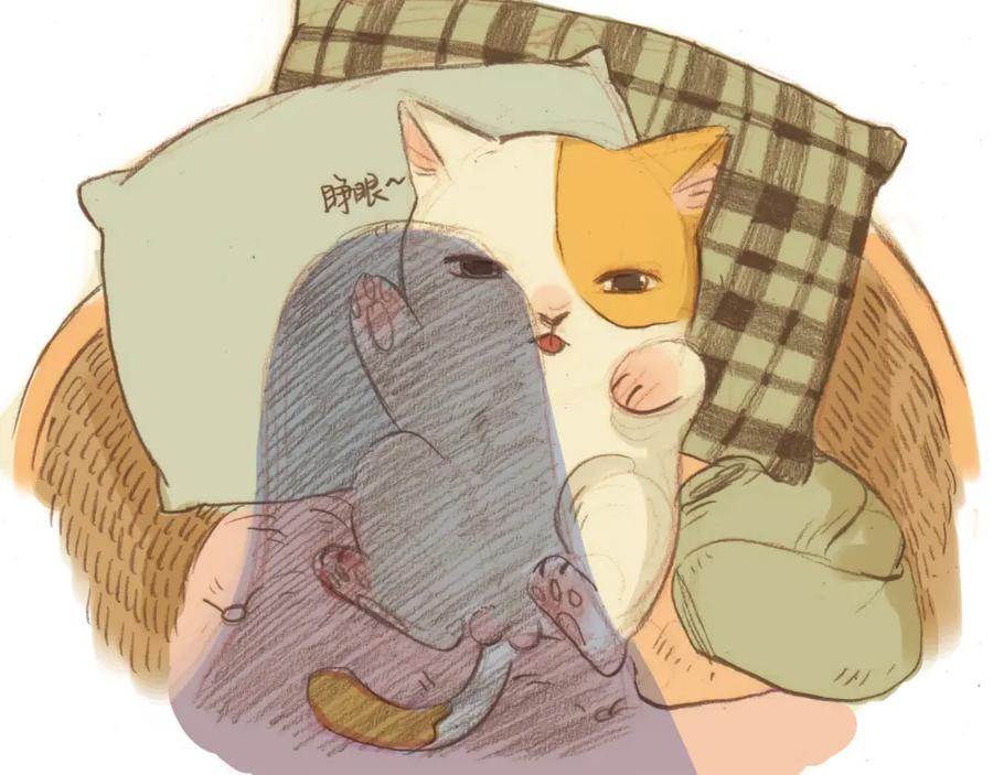 第54页