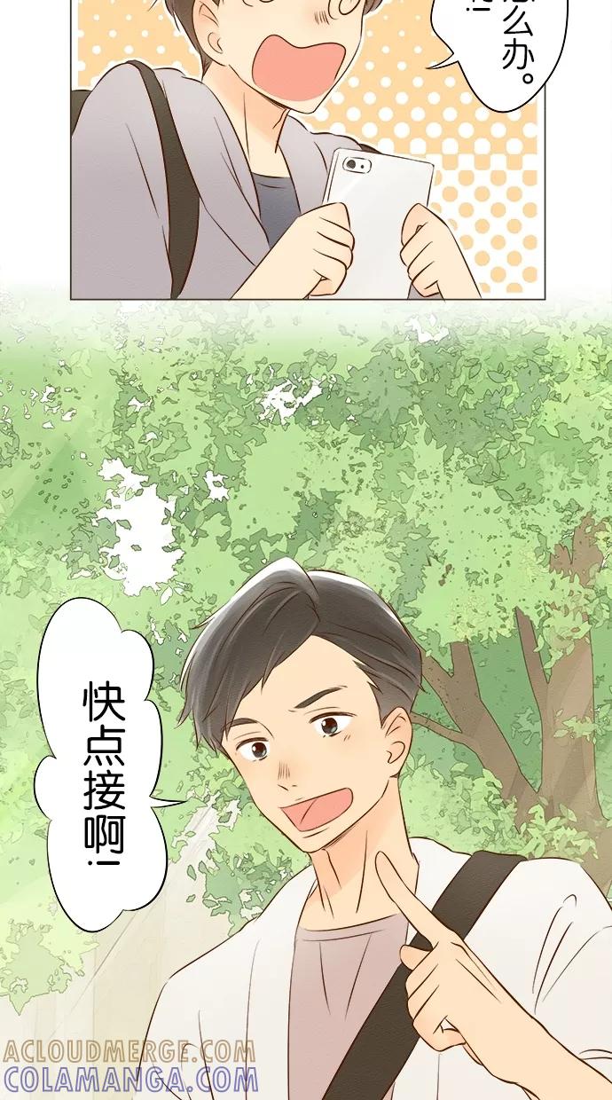 第55页